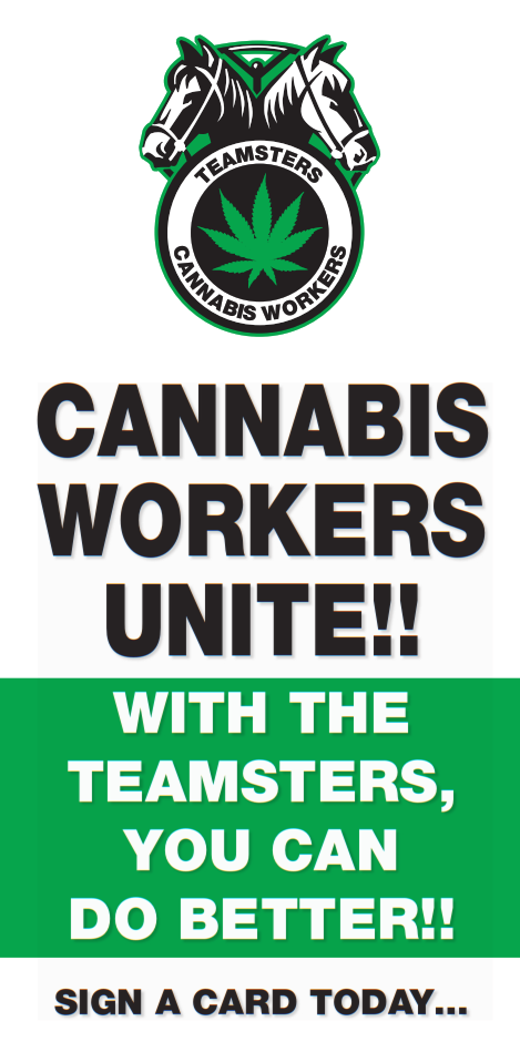 Cannabis Workers
