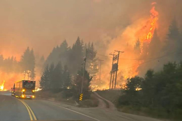 Wild Fire