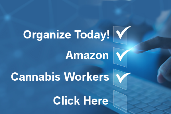 Organize today